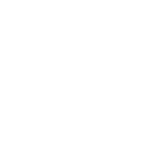 Carfix Cargo